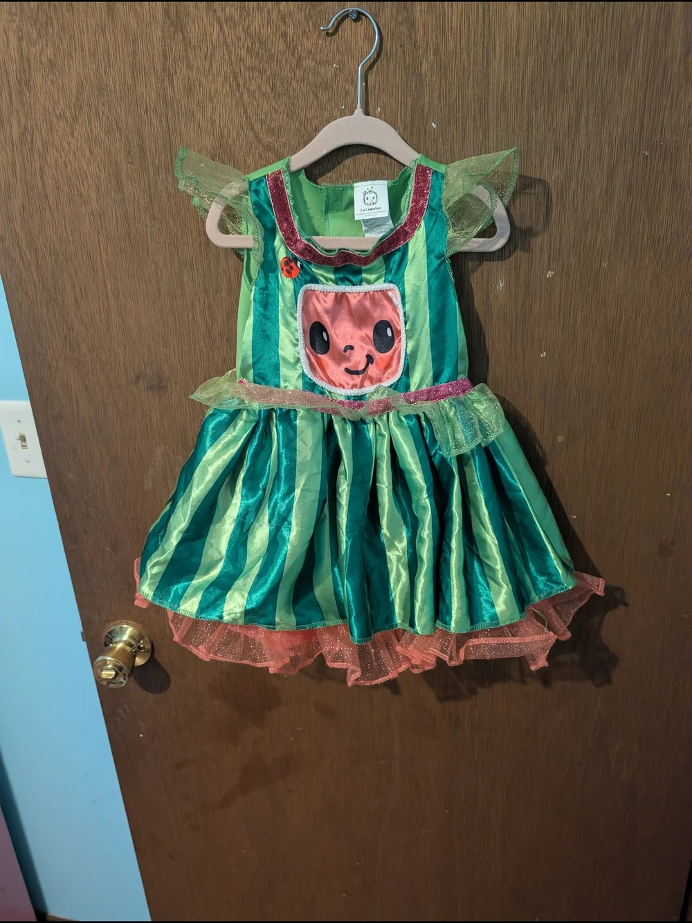 Whimsical Watermelon Kids Costume Dress - Green & Pink